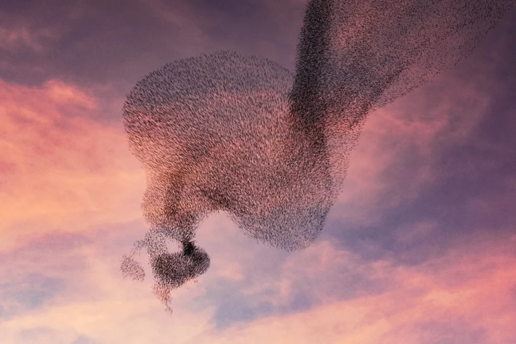 Hurja Solutions Oy parvitekoäly (swarm intelligence) blogin kuvituskuva, jossa hyönteisparvi.